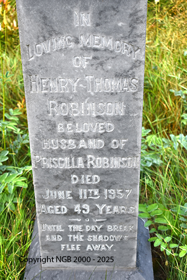 Henry Thomas Robinson