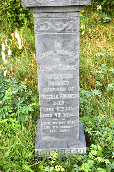 Henry Thomas Robinson