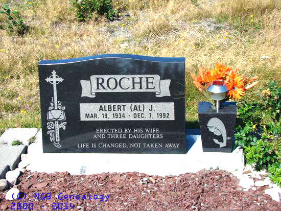 Albert (Al) J. Roche