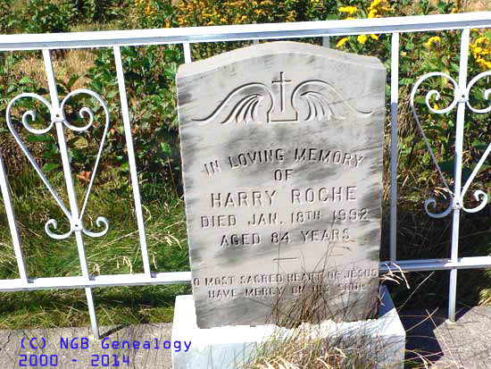 Harry Roche
