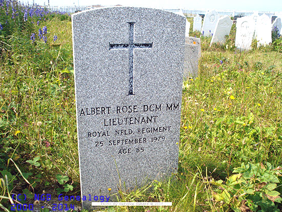 Albert Rose