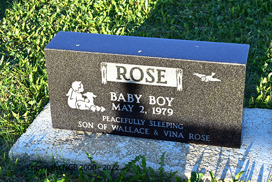 Baby Boy Rose