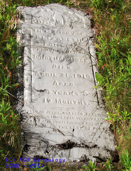 Elizabeth Forsey Rose