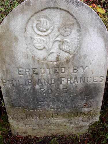 Vivian & Thomas Rose