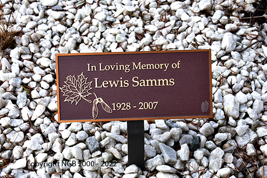Lewis Samms