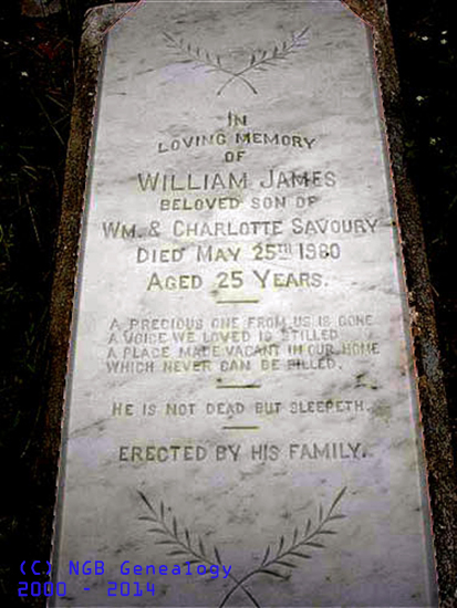 William James Savoury