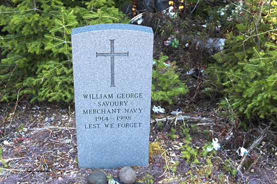 William George Savoury