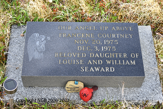 Francene Courtney Seward