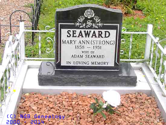 Mary Ann Seaward
