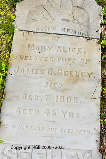 Mary Alice Seeley