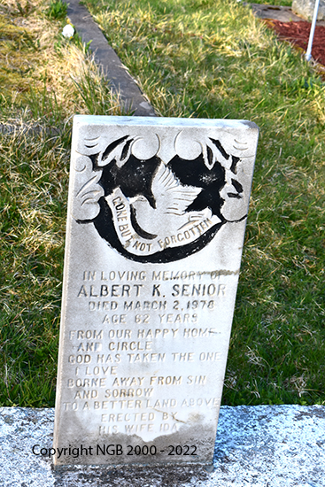 Albert Senior
