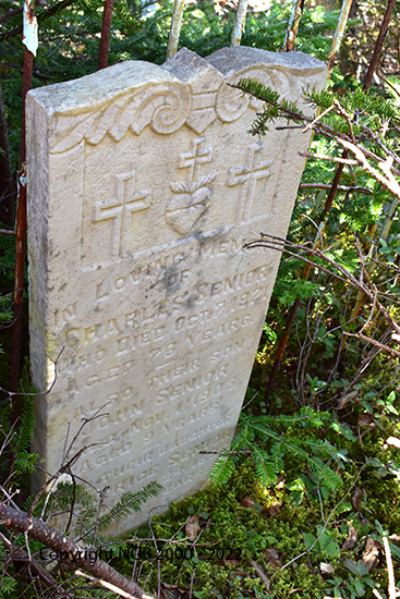 Charles, John & Patick Senior Senior