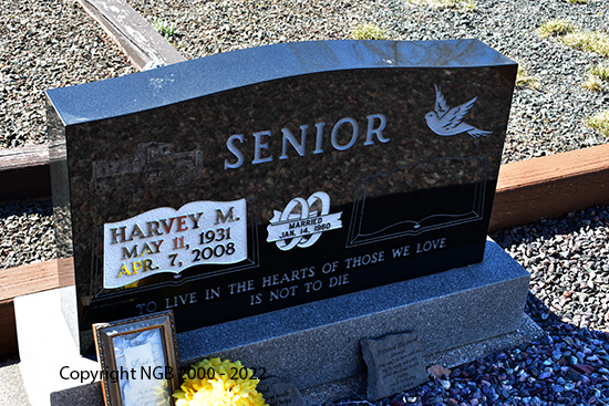 Harvey M. Senior
