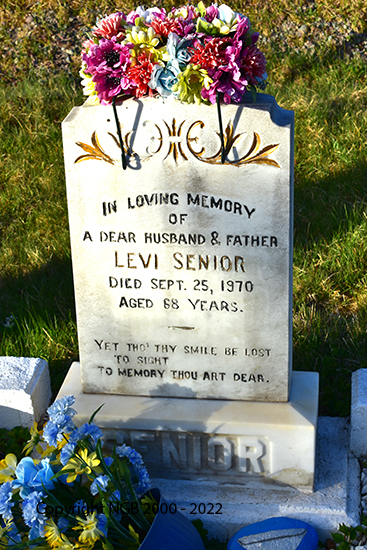 Levi Senior