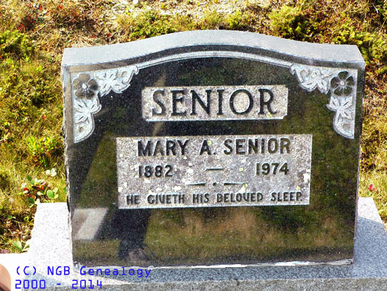 Mary A. Senior