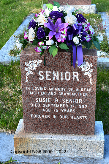 Susie B. Senior