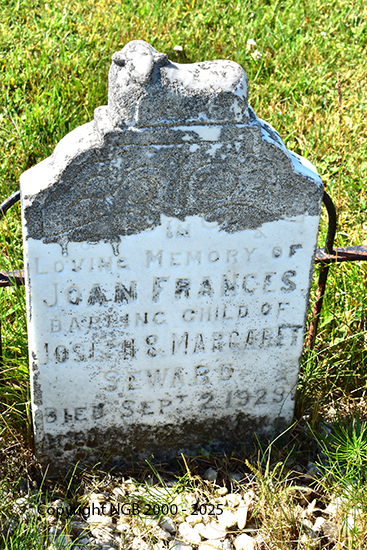 Joan Frances Seward