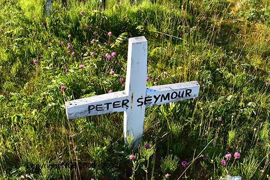 Peter Seymour