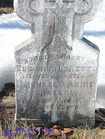 Eleanor Loretto Shallow