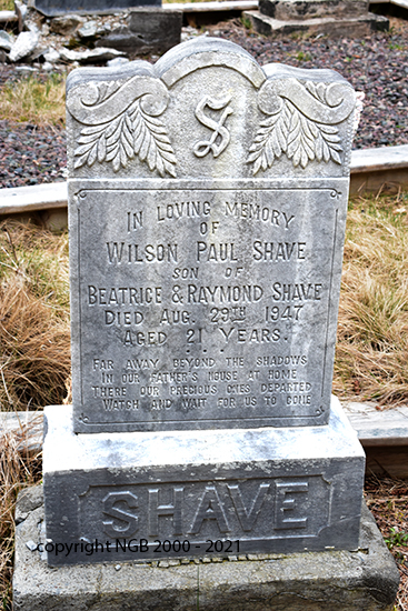 Wilson Paul Shave