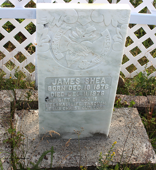 James Shea