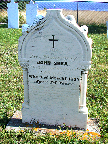 John Shea