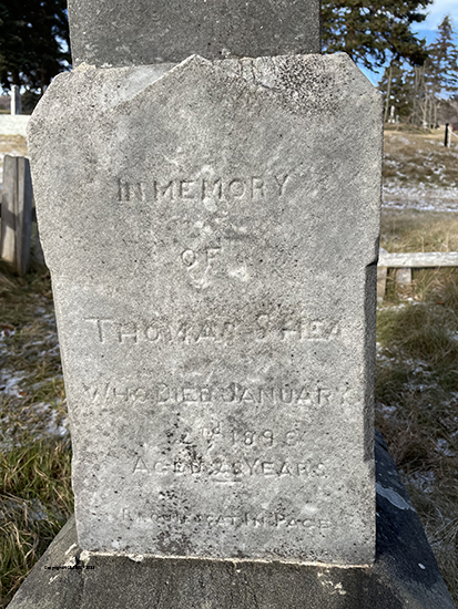 Thomas Shea