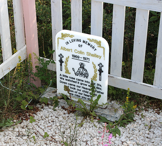 Albert Colin Shelley