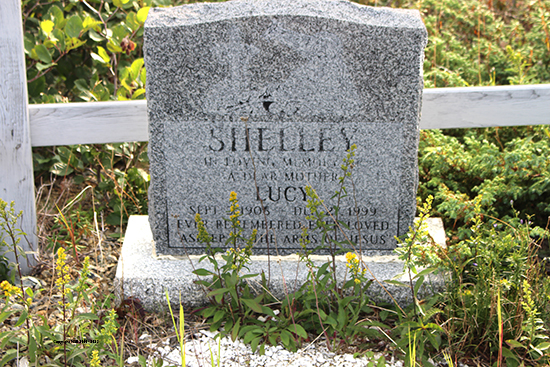 Lucy Shelley