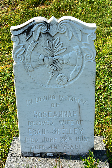 Rosanna Shelley