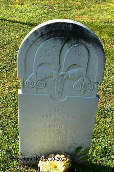 Ananias Shelly