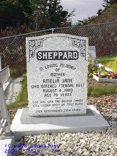 Amelia Jane Sheppard