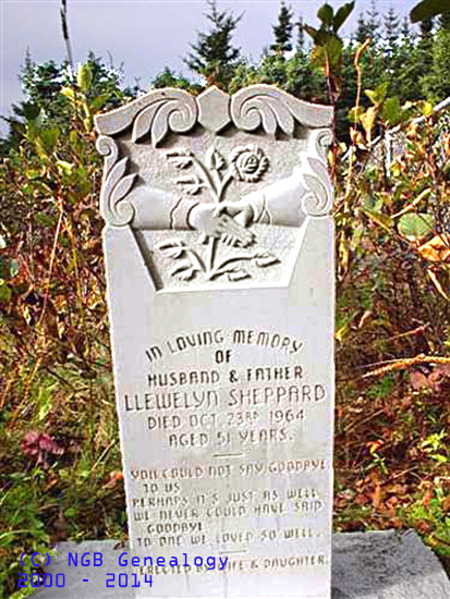 Llewelyn Sheppard