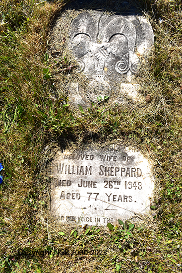 William Sheppard