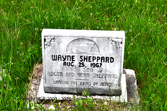 Wayne Sheppard