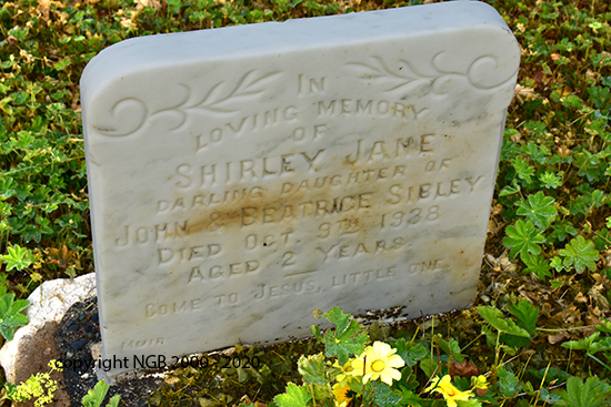 Shirley Jane Sibley