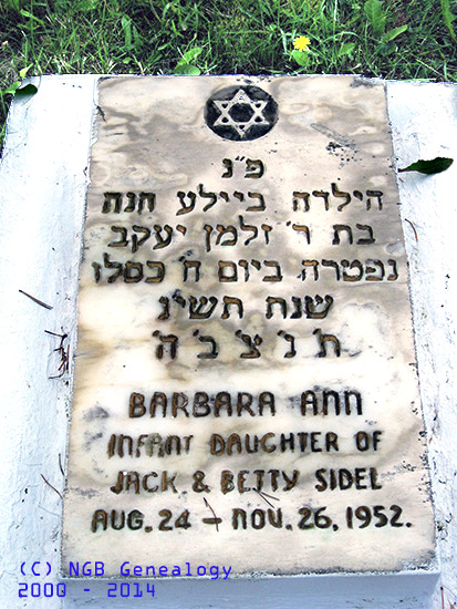 Barbara Ann Sidel