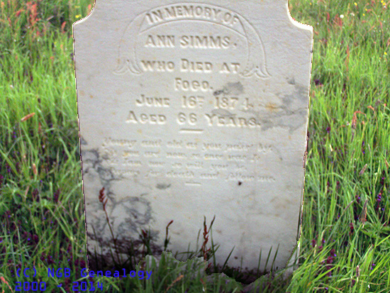 Ann Simms