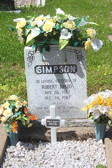 Robert David Simpson