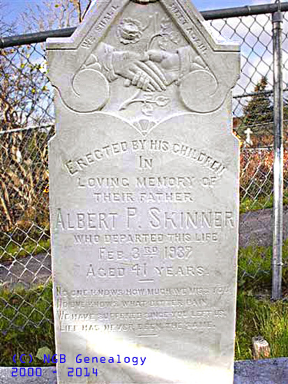 Albert P. Skinner