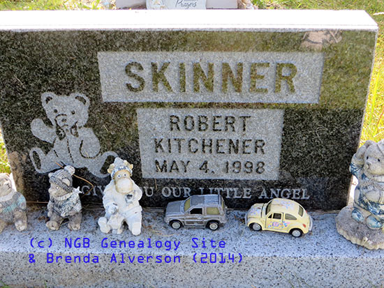 Robert Kitchner Skinner