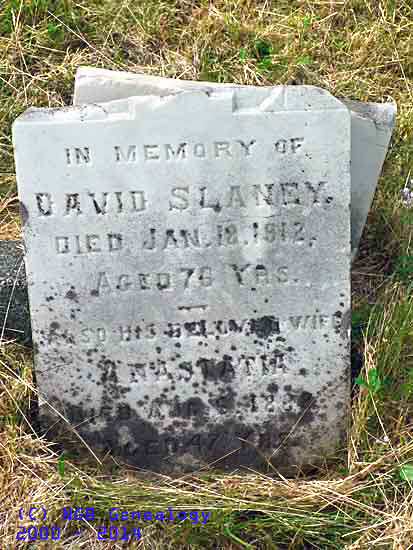 David Slaney
