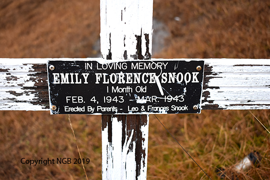 Emily Florence Snook