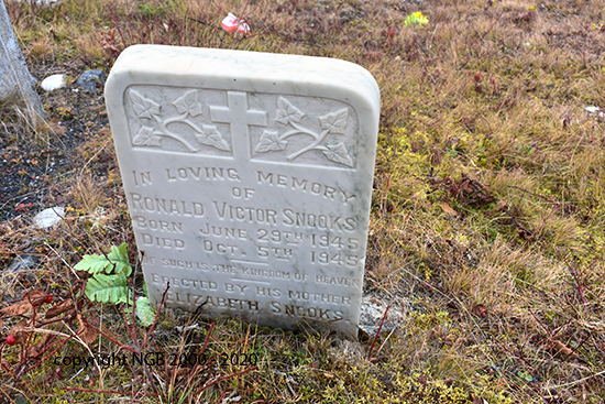 Ronald Victor Snooks