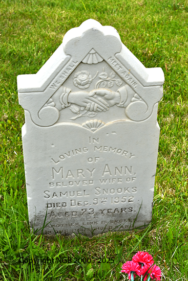 Mary Ann Snooks