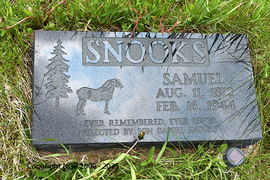 Samuel Snooks