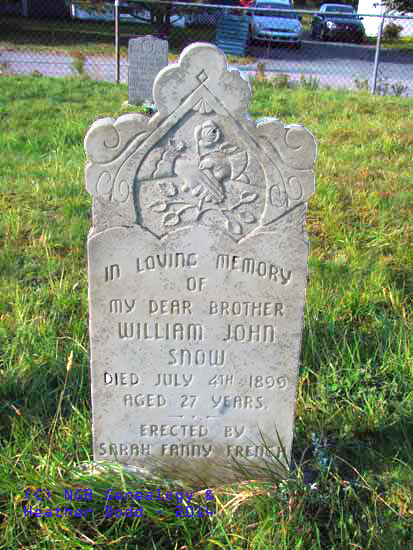 William John Snow