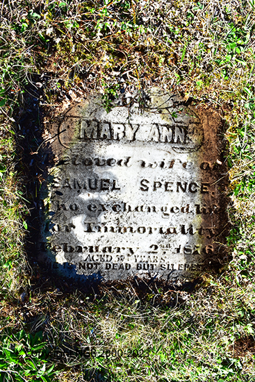 Mary Ann Spence