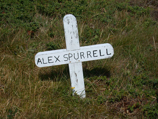 Alex Spurrell
