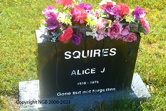 Alice J. Squires